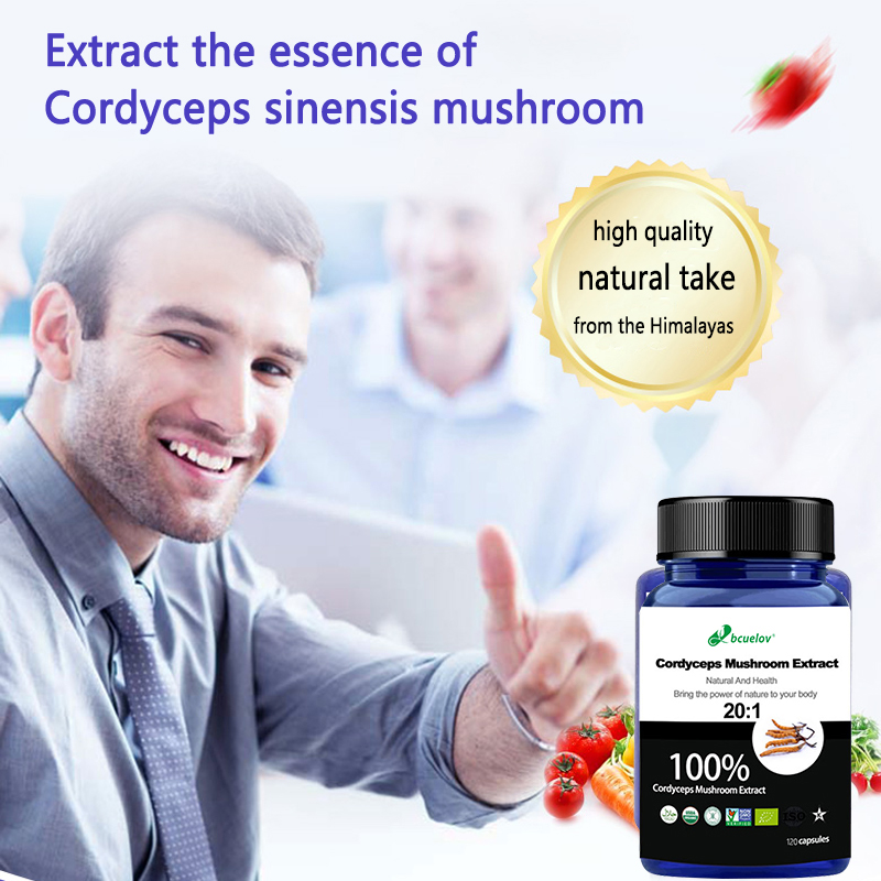 Cordyceps Mushroom Extract Cap - Herbal Wellness Water ulasan dan harga