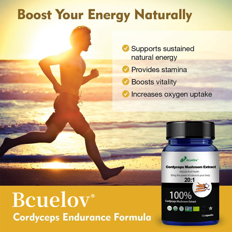 Cordyceps Mushroom Extract Cap - Herbal Wellness Water ulasan dan harga
