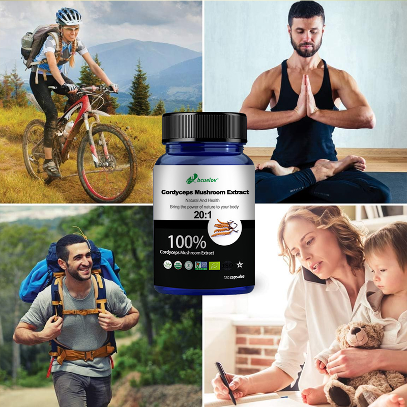 Cordyceps Mushroom Extract Cap - Herbal Wellness Water ulasan dan harga